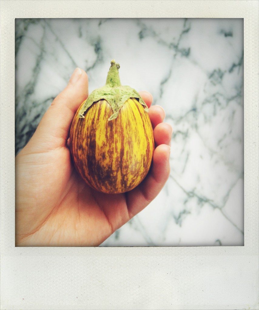 Adorable Eggplant // Autumn Makes & Does